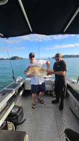 Delivered the Big Snapper