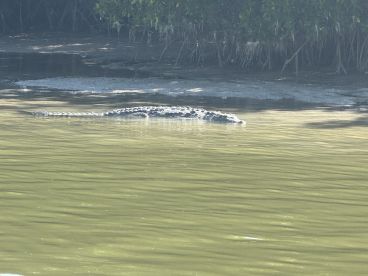 Great family fishing trip in the Everglades