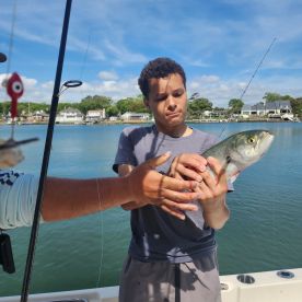 Here fishy, fishy, fishy