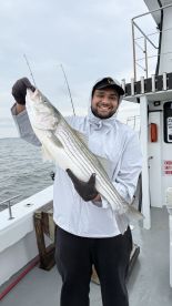 Great Crew and Caught Six Stripers