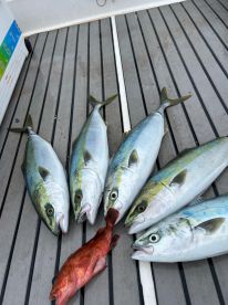 Great experience fishing! 