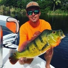 Timothy Qualls profile photo