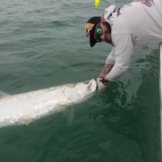 Tom Briese profile photo