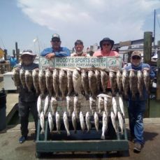 Jim Adams profile photo