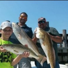 Ronnie Doyle profile photo