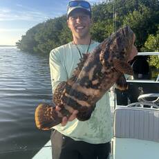 Austin Nelson profile photo