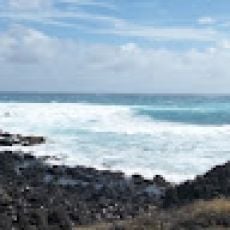 Sydney Harbour Fishing Tours