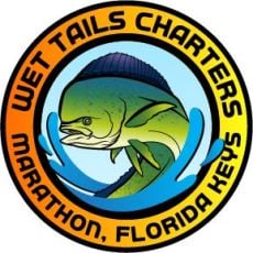 Ed Traylor profile photo