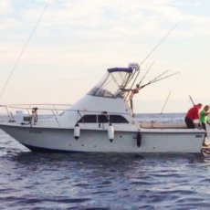 Ivan Horžić profile photo