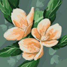 Reel Sensation Charters