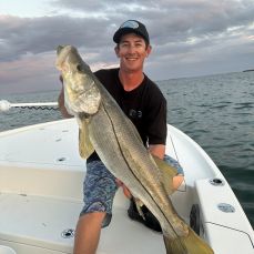 Stephen Benner profile photo