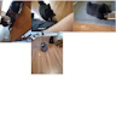 Fin Runner Sportfishing Charters