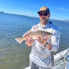 Angelo Gentile profile photo