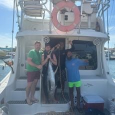 David El Hage profile photo