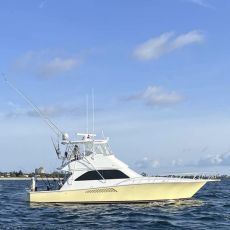 Bob Hayes profile photo