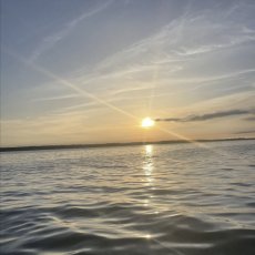 Robert Trotti profile photo