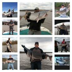 Bill Genay profile photo