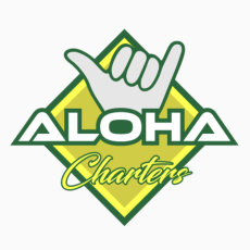 Vincent Iacono profile photo