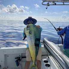 Alek Fig profile photo