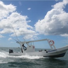 Costa Tamarindo Sport Fishing Adventure profile photo