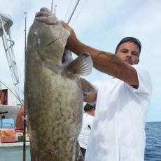 Rick Marchetti profile photo