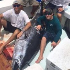 Kyle C Pattinson profile photo