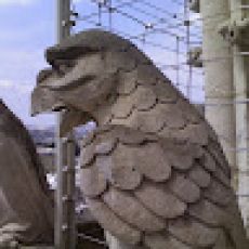 Fugitive Fishing Charters