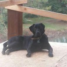 Big Dog Fishing Charters – 24' Boat