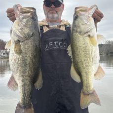 Matt Beggs profile photo