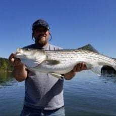 Mickey Holbrook profile photo