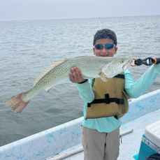 Captain Steven Hillary profile photo