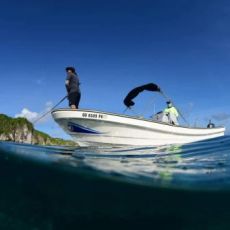 Ron Laguana II profile photo