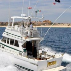 Picudo Sportfishing profile photo