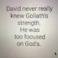 All Pro Outdoors - 11 Mile & Spinney Mountain