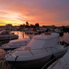 Giuseppe Bertuccini profile photo