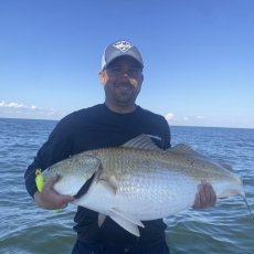 David Heath profile photo