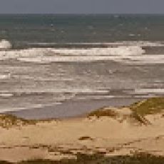 Dana Point Custom Fishing Charters