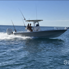 Wayne Freeman profile photo