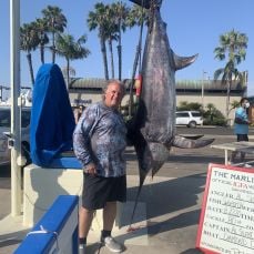 Alberto Silebi profile photo