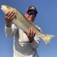 Telecaster Charters  profile photo