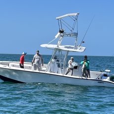 Phillip Pica profile photo