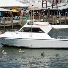 A&B Deep Sea Fishing Charters profile photo