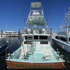 Reel Adventure Charters profile photo