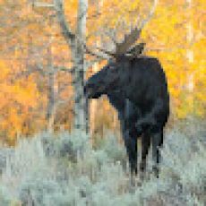 Sandbar Somewhere Charter