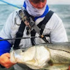 Brinkley Peters profile photo