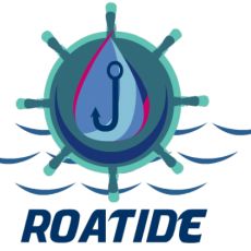 RoaTide - Snorkeling and Fishing Charters profile photo