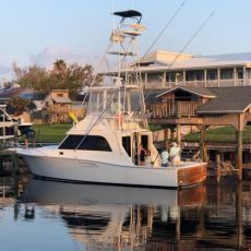 Will Owens profile photo