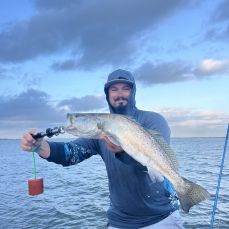 Ryan Mccain profile photo