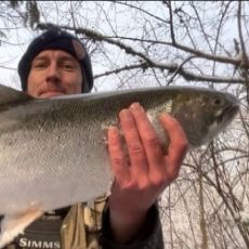 Lyle Burlingame profile photo