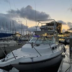 Pablo Fernandez profile photo